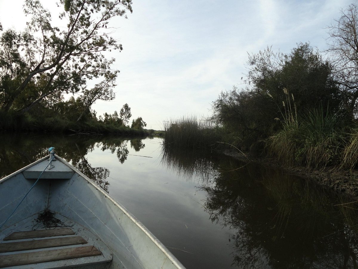 Vista del humedal desde un bote