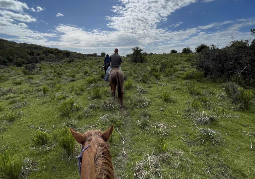 cabalgatas El Balcón del Abra