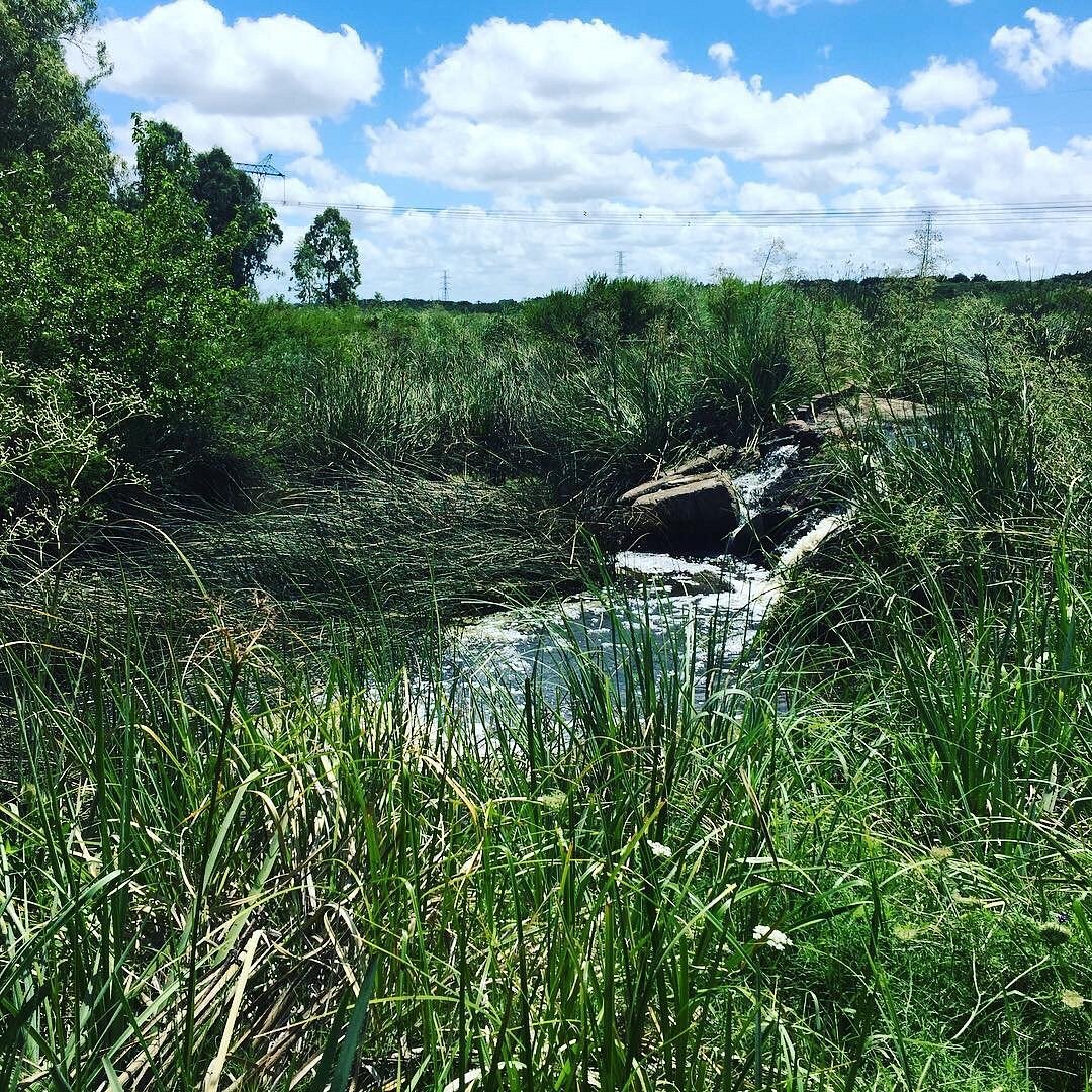 Esta chacra turística te va a buscar a tu casa para pasar un día de ensueño en la naturaleza