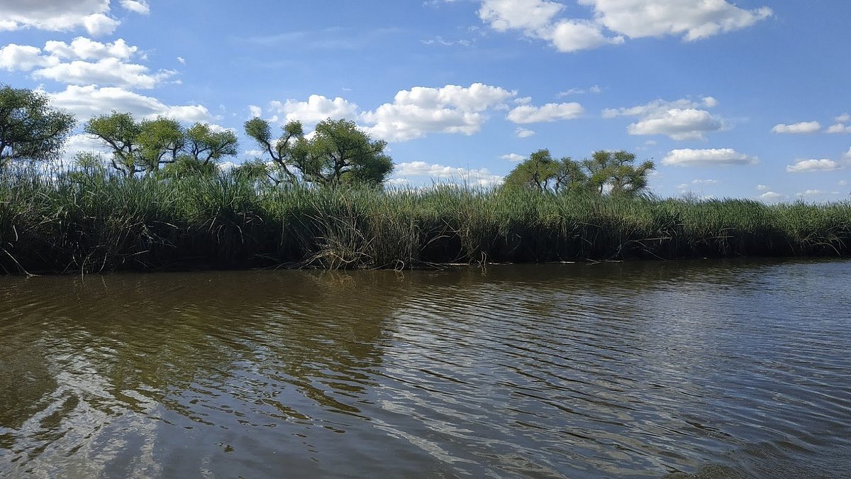 Esta chacra turística te va a buscar a tu casa para pasar un día de ensueño en la naturaleza